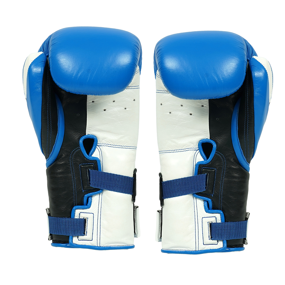 SAPPHIRE PRO